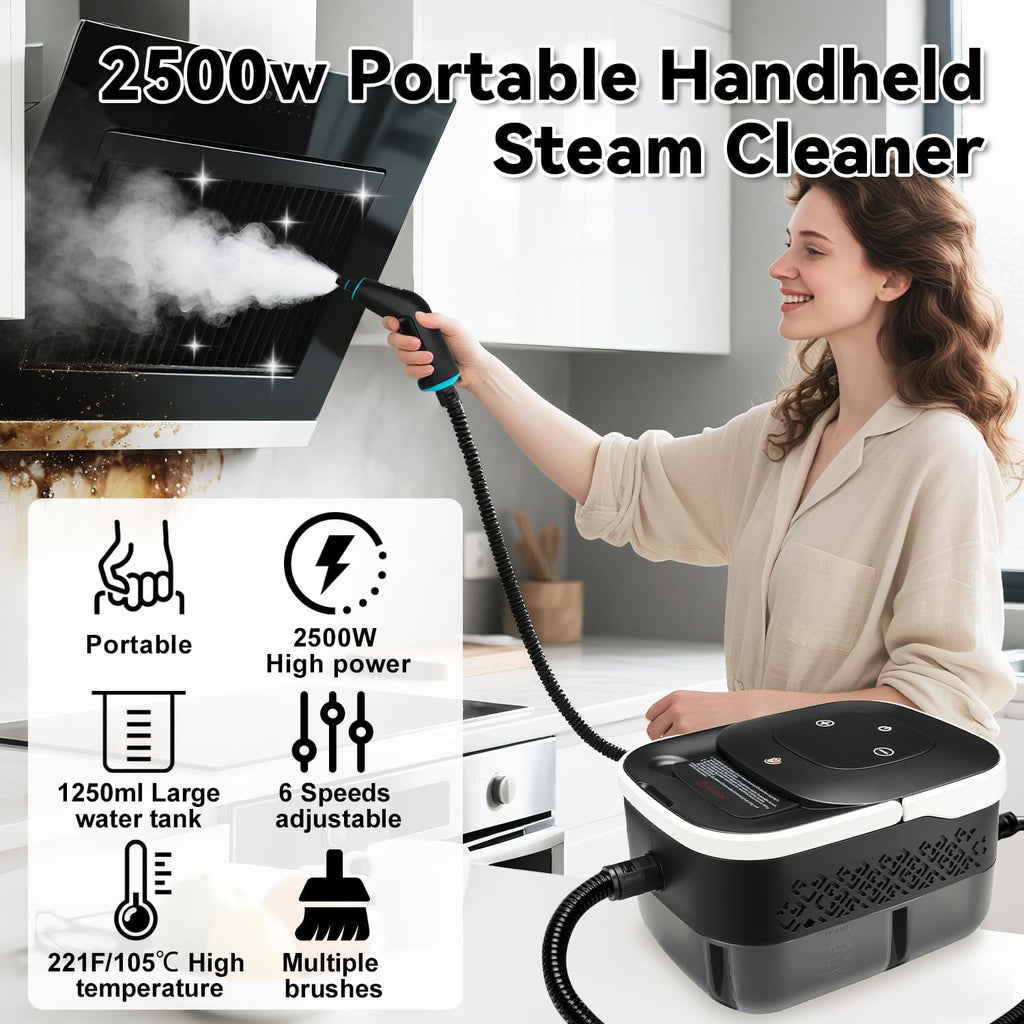 Steam Cleaner