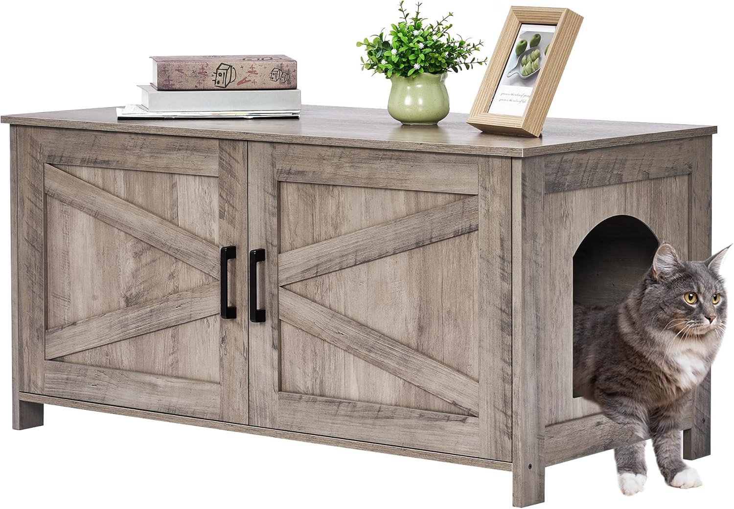 Cat Litter Box Enclosure