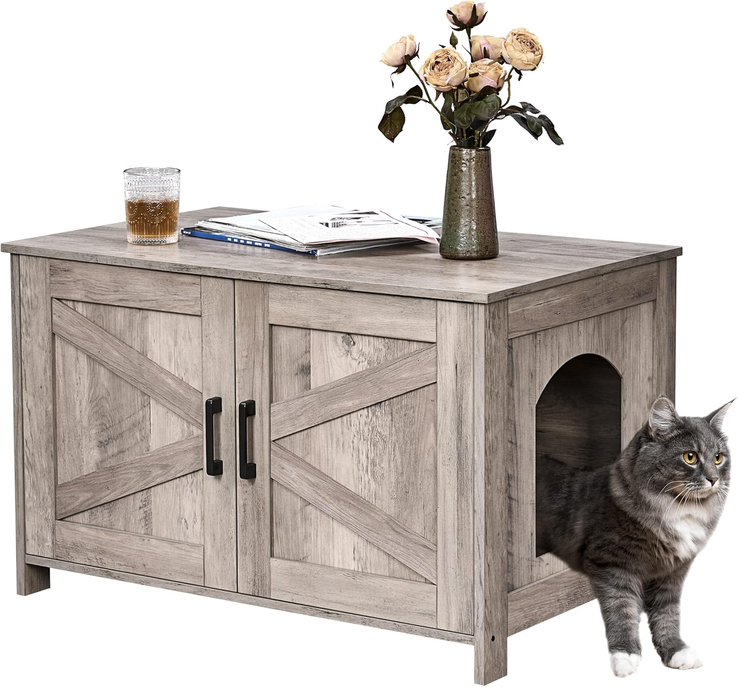 Cat Litter Box Enclosure